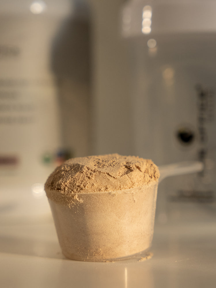 
                  
                    Organic Chocolate A2 Grass-Fed Whey Protein with Collagen & Maca
                  
                