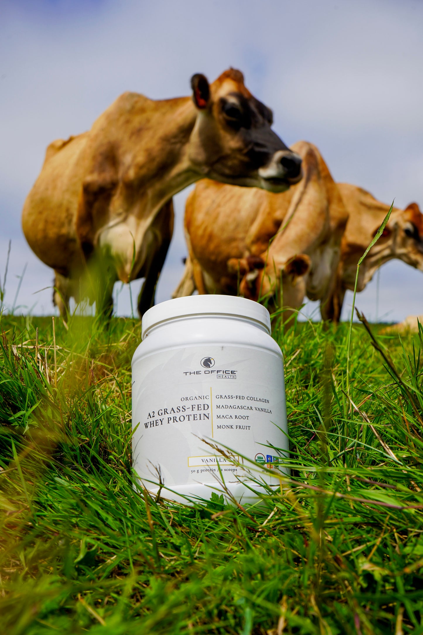 
                  
                    Organic Vanilla A2 Grass-Fed Whey Protein with Collagen & Maca
                  
                