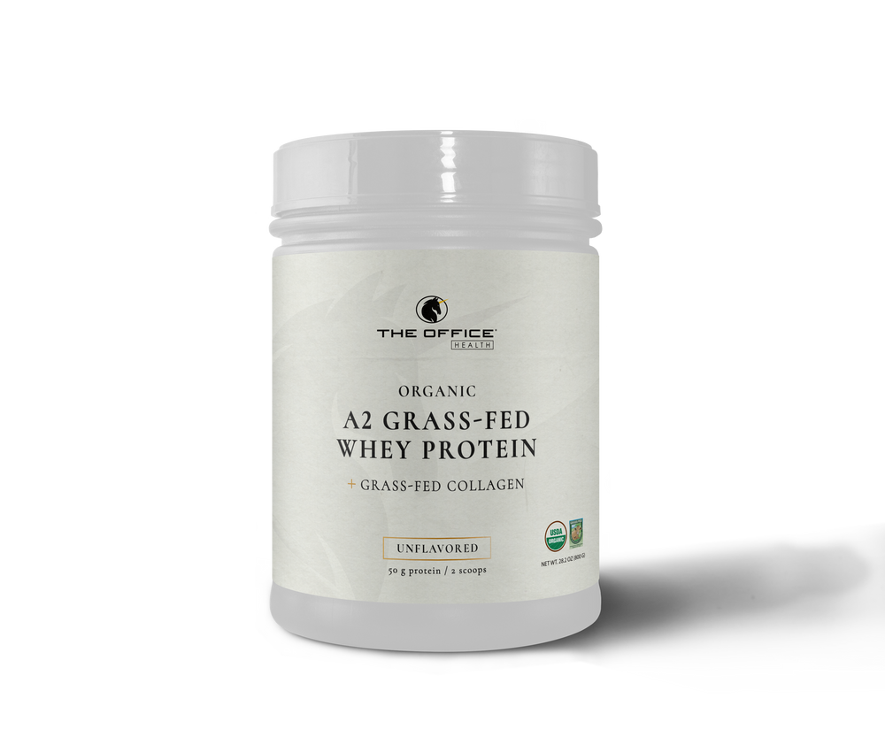 
                  
                    Limited Edition Holiday Protein Trio
                  
                