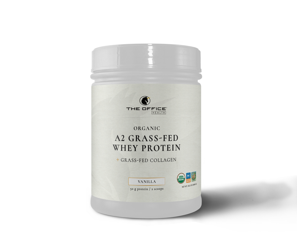 
                  
                    Limited Edition Holiday Protein Trio
                  
                