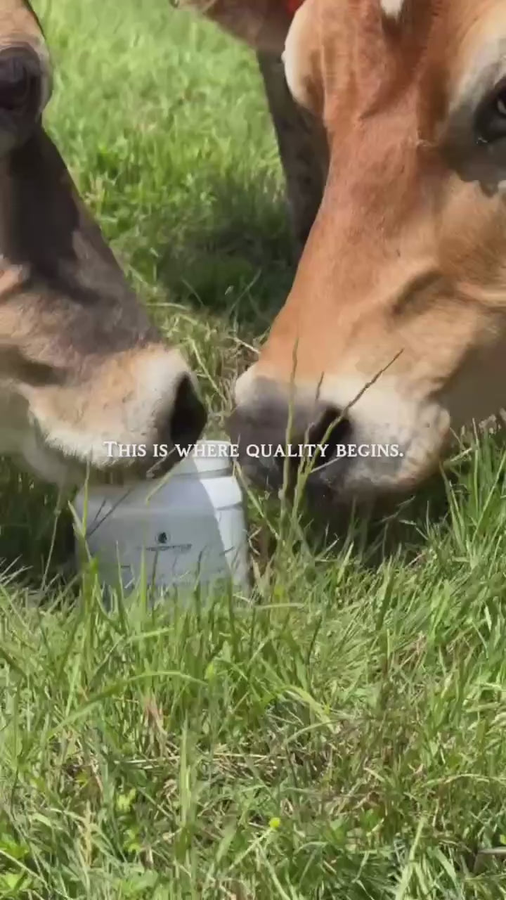 
                  
                    Load and play video in Gallery viewer, Organic Chocolate A2 Grass-Fed Whey Protein with Collagen &amp;amp; Maca
                  
                